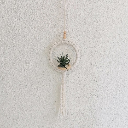 suporte plantas eimptovavel.pt
