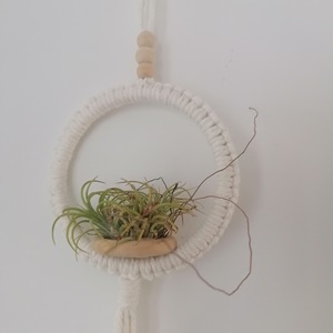 Suporte para plantas aéreas